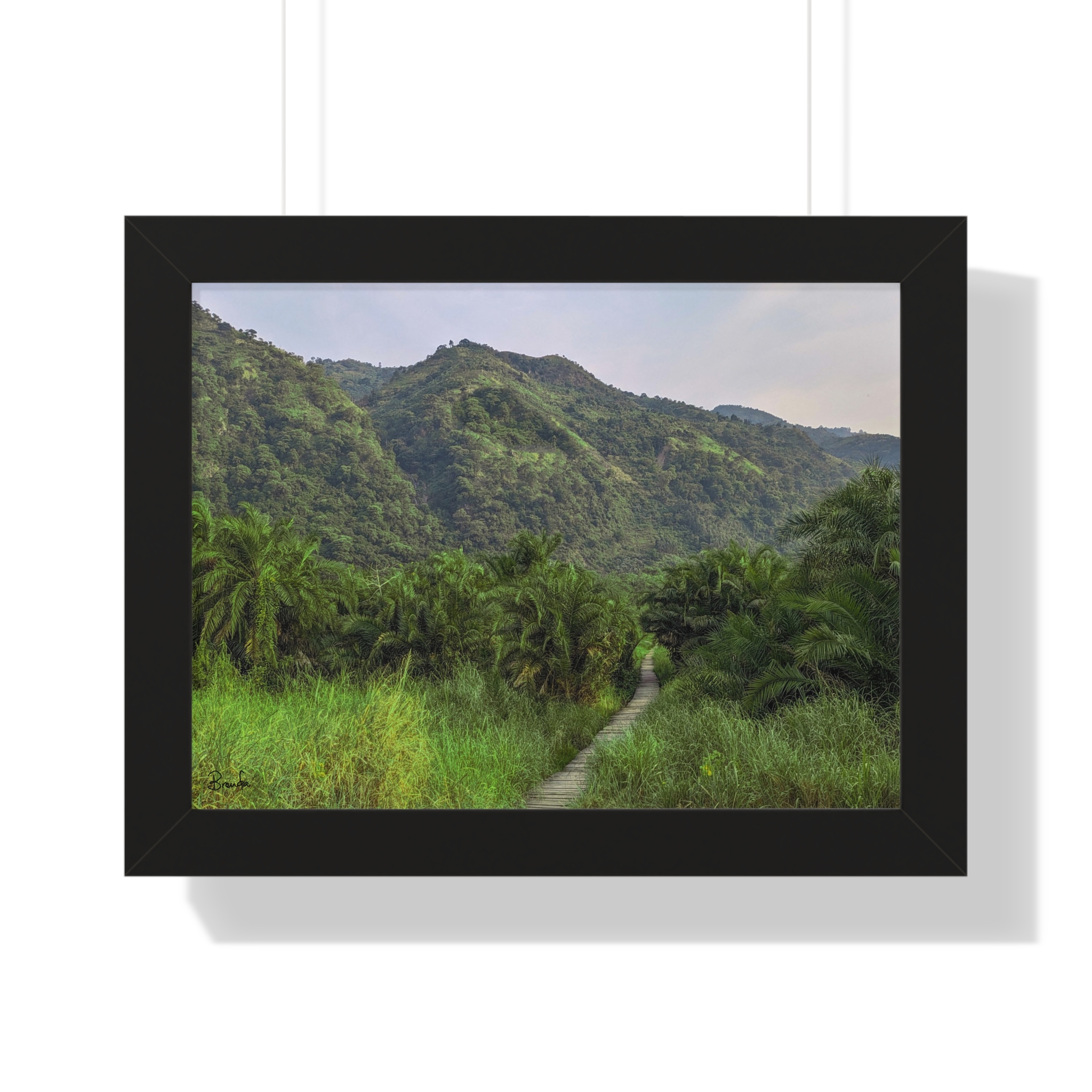 Forest and Boardwalk View of Semliki National Park Landscape Framed Poster - Image 2