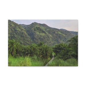 Forest and Boardwalk View of Semliki National Park on Matte Canvas, Stretched, 1.25"
