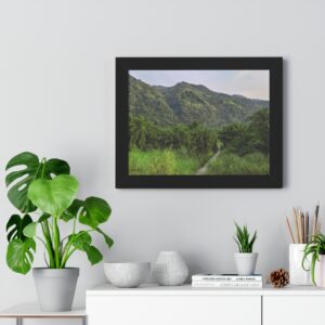 Forest and Boardwalk View of Semliki National Park Landscape Framed Poster