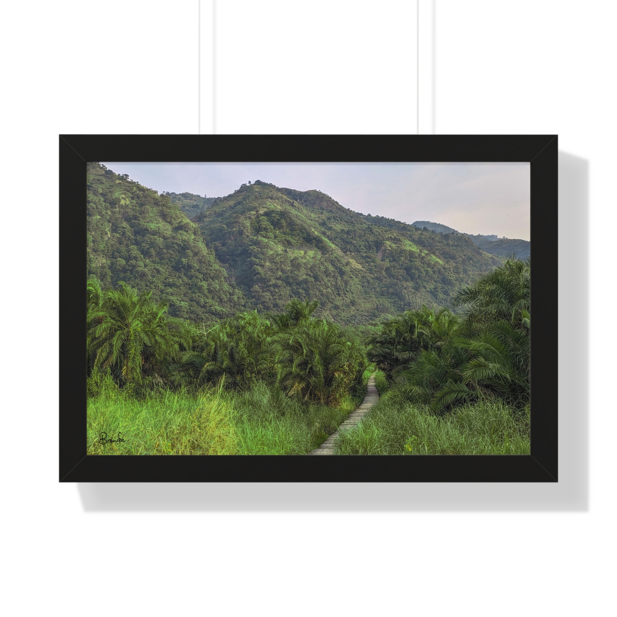 Forest and Boardwalk View of Semliki National Park Landscape Framed Poster - Image 4