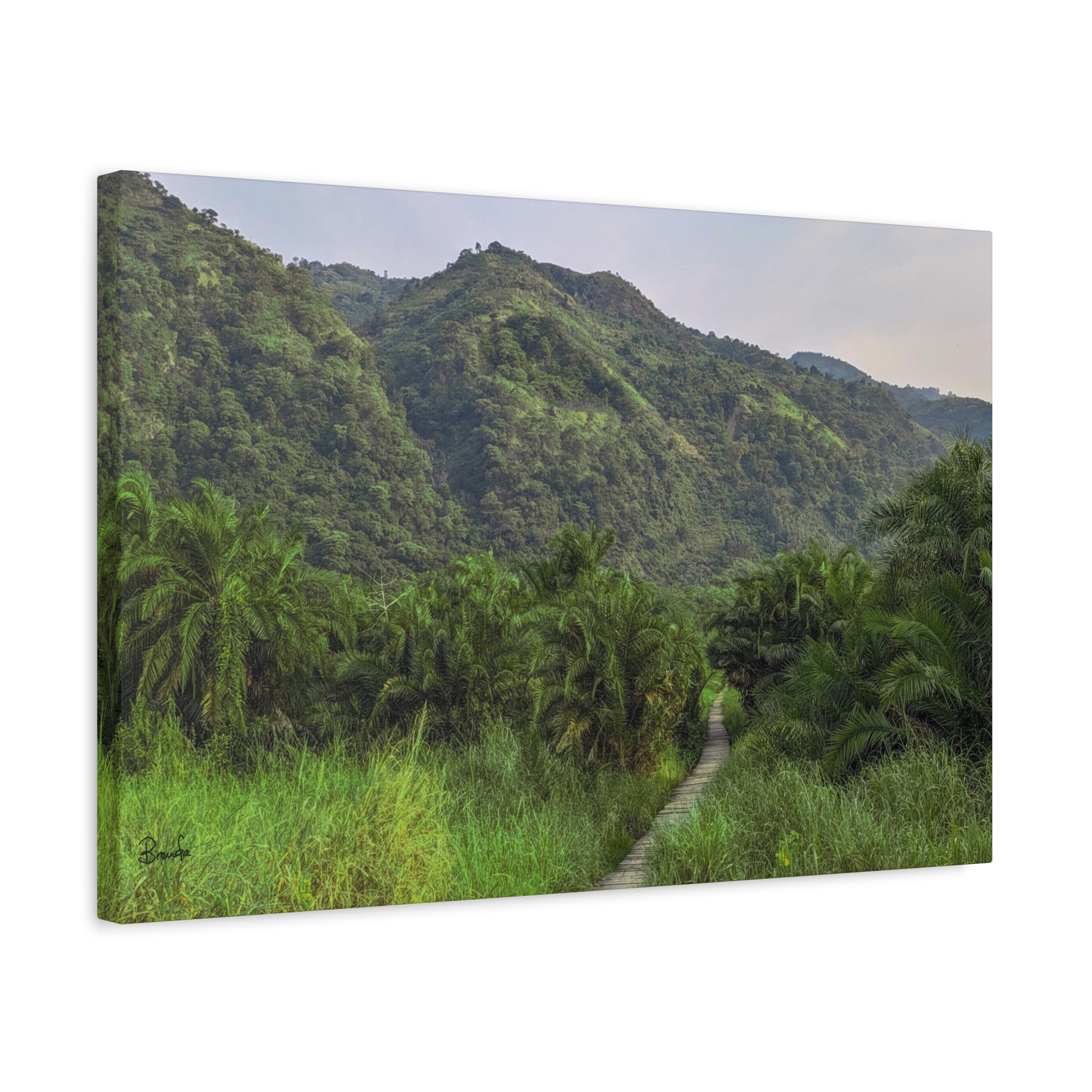 Forest and Boardwalk View of Semliki National Park on Matte Canvas, Stretched, 1.25" - Image 6