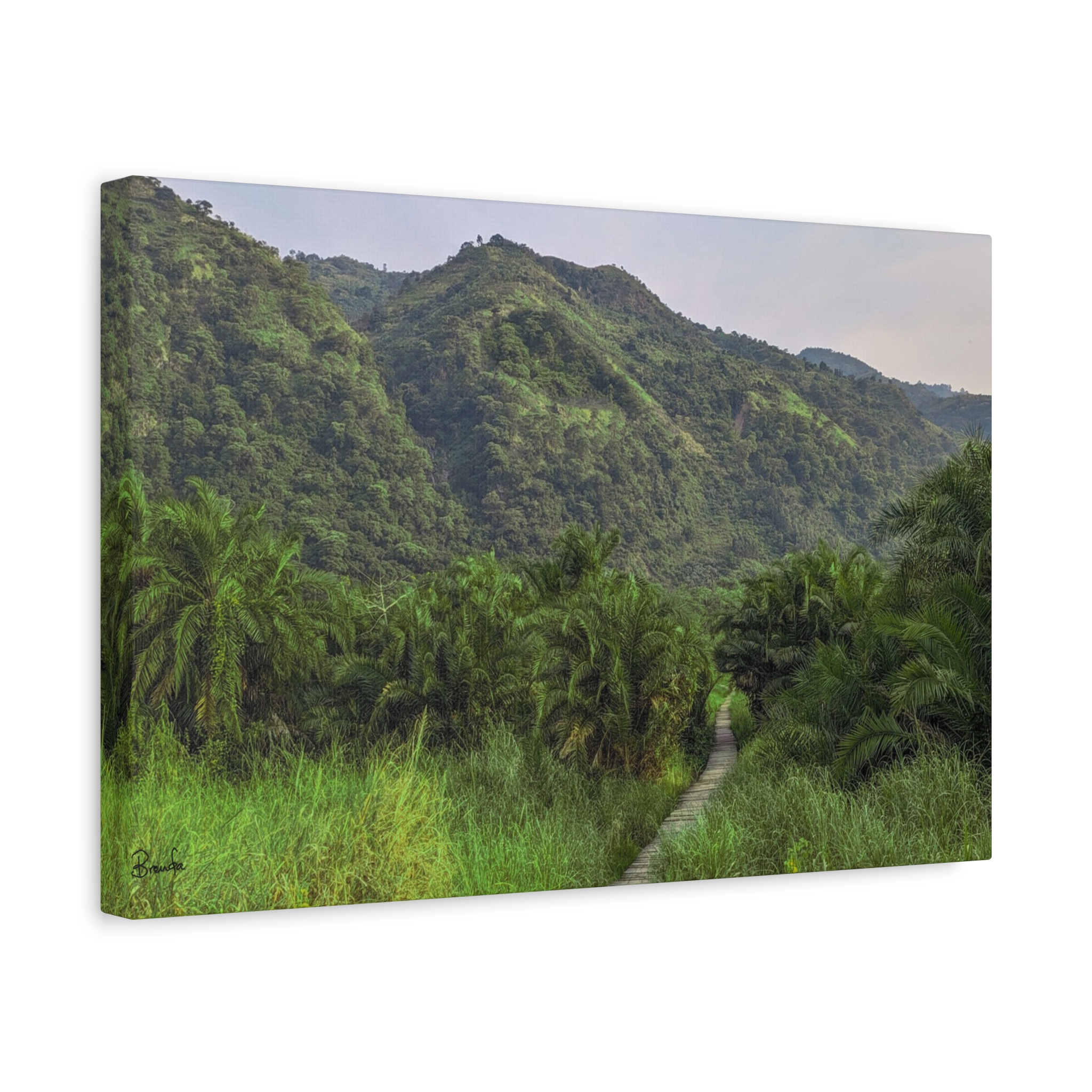 Forest and Boardwalk View of Semliki National Park on Matte Canvas, Stretched, 1.25" - Image 2